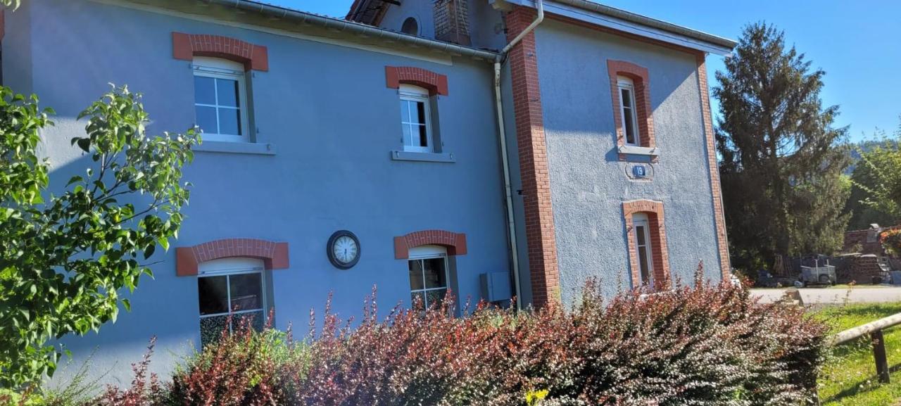Villa La Halte 19 Ban-sur-Meurthe-Clefcy Exterior foto